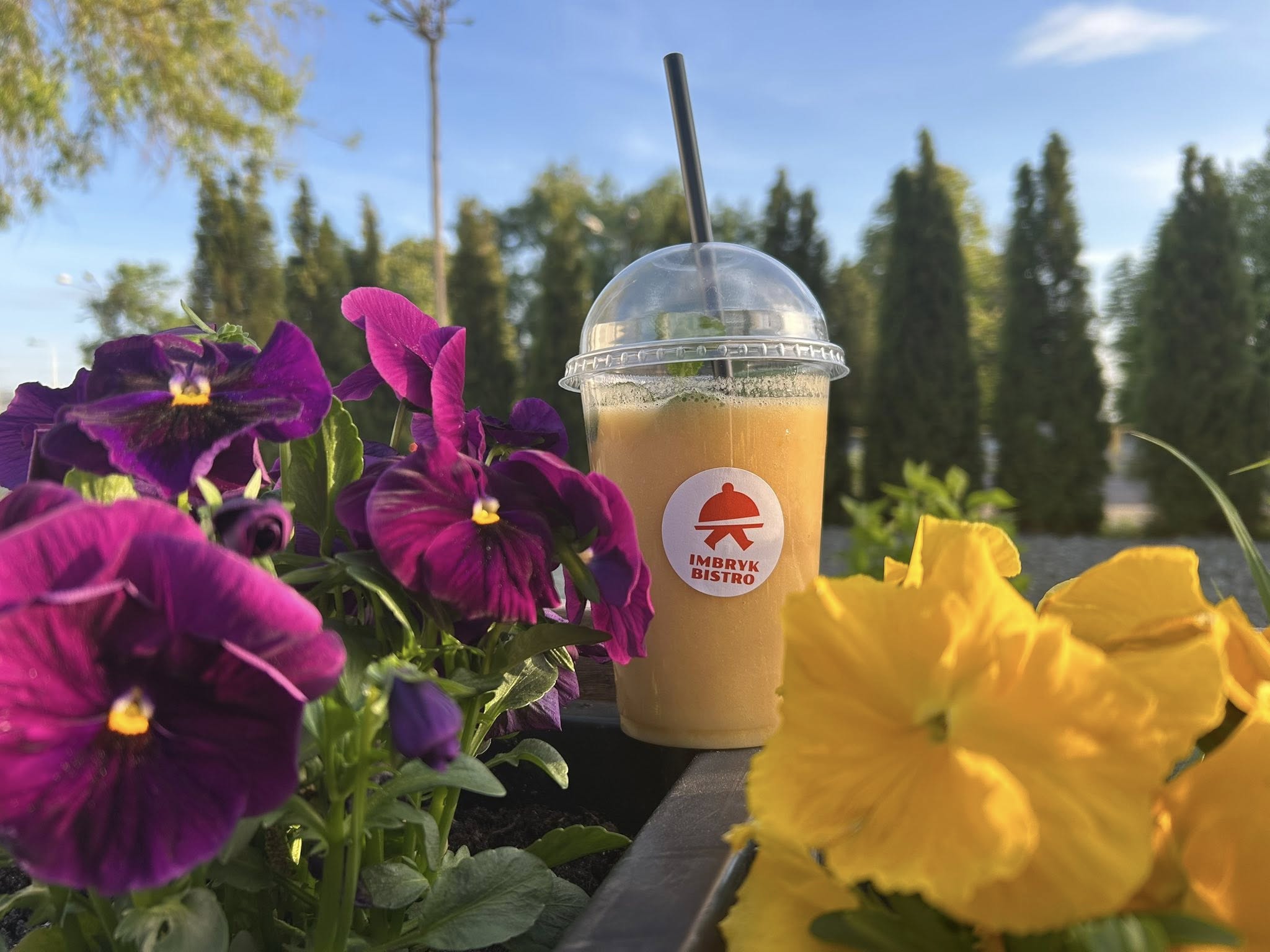 Kawa latte art z misiem